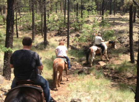 Pinetop Lakes Activity Center & Stables